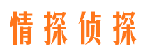 江源寻人公司